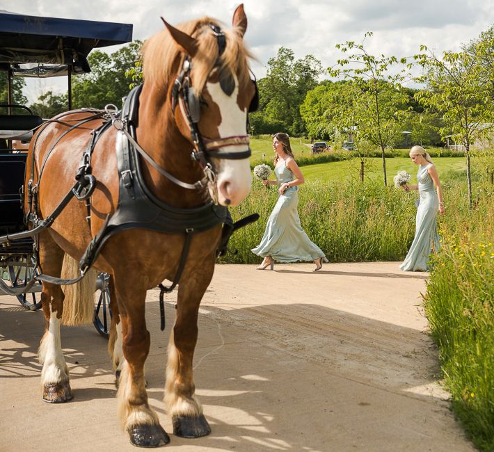 Horse and Carriage | Rustic Soho Farmhouse Ceremony with PapaKata Sperry Tent Greenery filled Reception | Marianne Taylor Photography | Will Warr Films