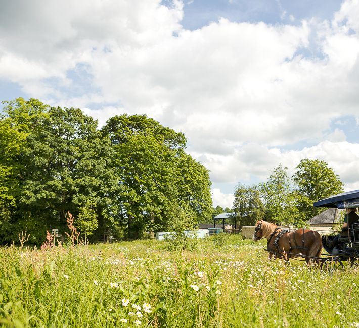 Horse & Carriage | Rustic Soho Farmhouse Ceremony with PapaKata Sperry Tent Greenery filled Reception | Marianne Taylor Photography | Will Warr Films