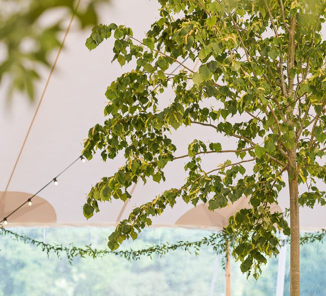 Rustic Soho Farmhouse Ceremony with PapaKata Sperry Tent Greenery filled Reception | Marianne Taylor Photography | Will Warr Films