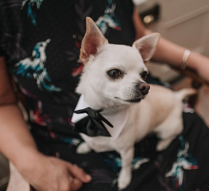 DIY Lord of the Rings Themed Wedding at Monks Barn in Maidenhead | Jason Mark Harris Photography | Cinematic Films By J