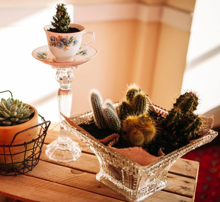 Cactus Wedding Motif | Take Me Out Couple Beckie & Adam Get Married | Bride In Crop Top | Images by Joanna Bongard Photography | Film by Costa Sister Productions