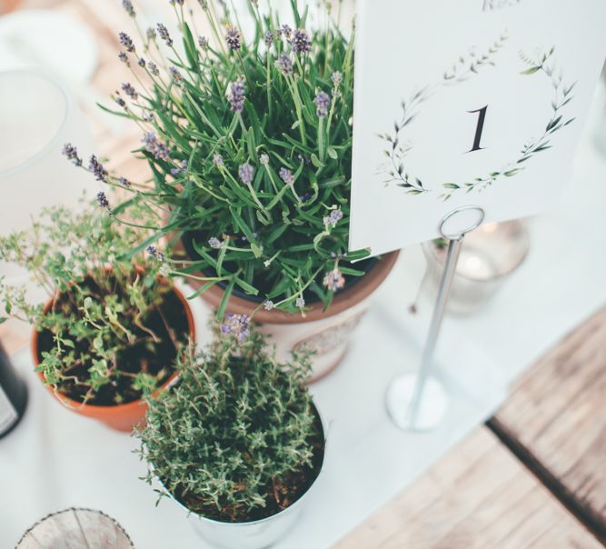 Potted Plants For Wedding Decor // Marquee Wedding Jersey With Bride In Jesus Peiro With Images From Wedding_M And Bridesmaids In Pink Silk Dresses By Ghost