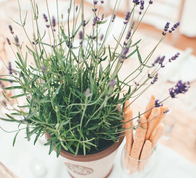 Potted Plants For Wedding Decor // Marquee Wedding Jersey With Bride In Jesus Peiro With Images From Wedding_M And Bridesmaids In Pink Silk Dresses By Ghost