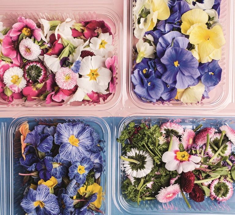 Edible Flowers And Petals From Maddocks Farm