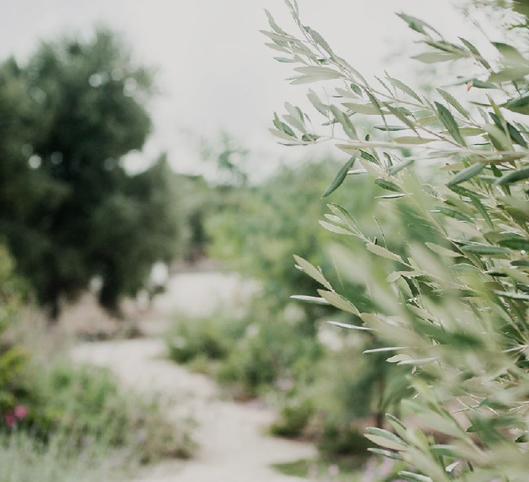 Masseria Moroseta Puglia Wedding Venue