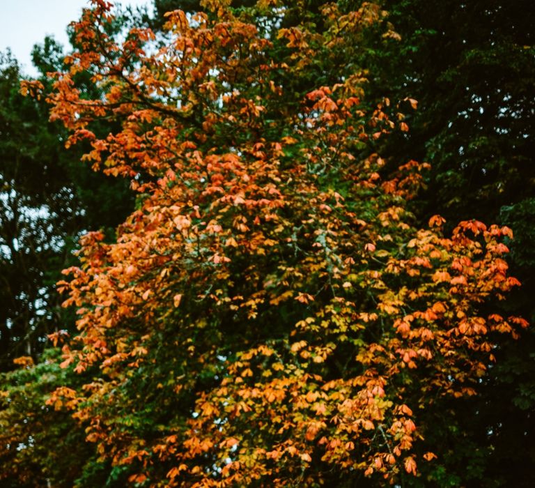 Autumn Wedding At Coos' Cathedral Aboyne Aberdeen With Bride In Bespoke Wedding Dress & Groom In Kilt With Images & Film By Tub Of Jelly