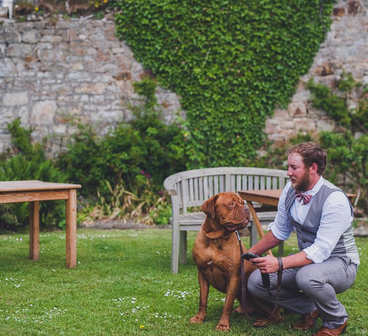 Dogs At Wedding