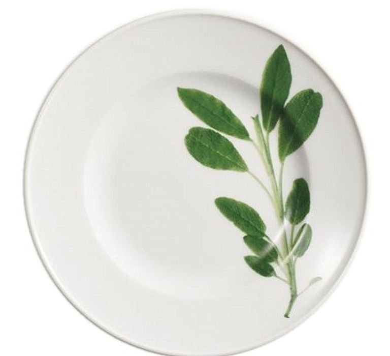 Illustrated Plant Plate at The wedding Shop