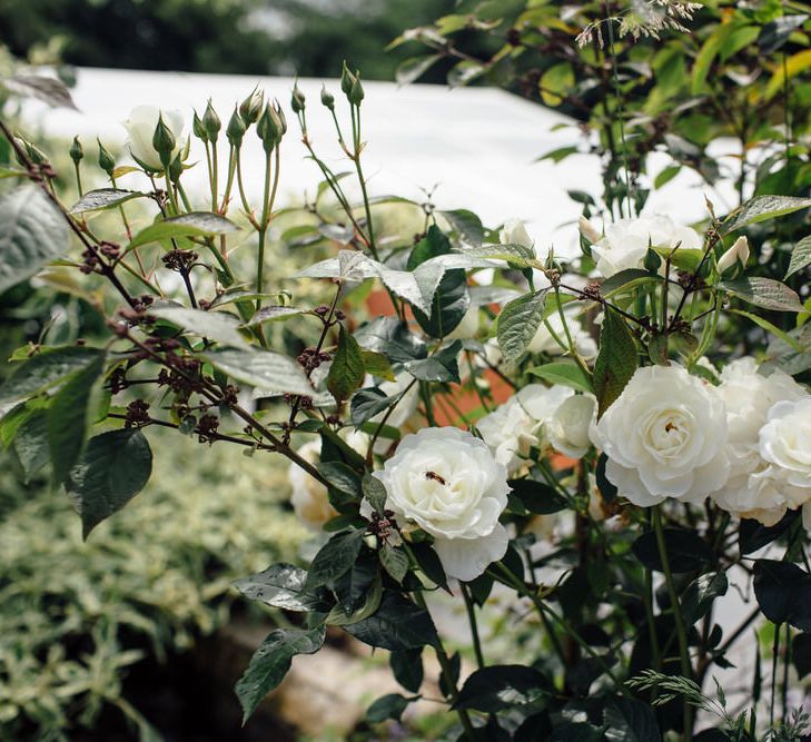 Ever After A Dartmoor Wedding