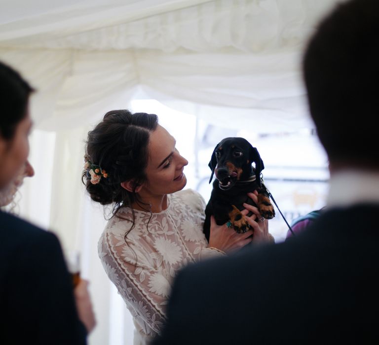 Sausage Dog At Wedding