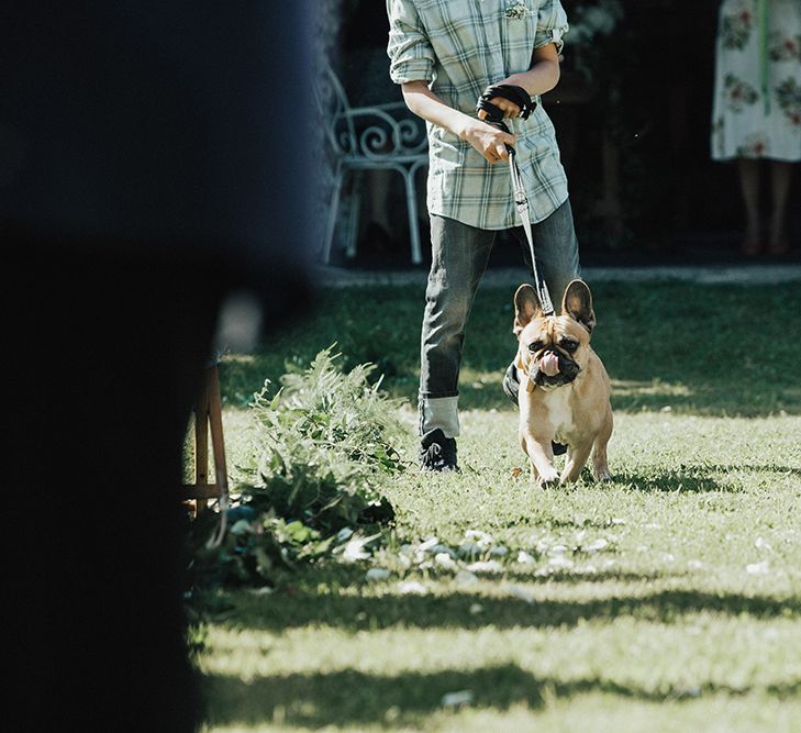 Dog At Wedding