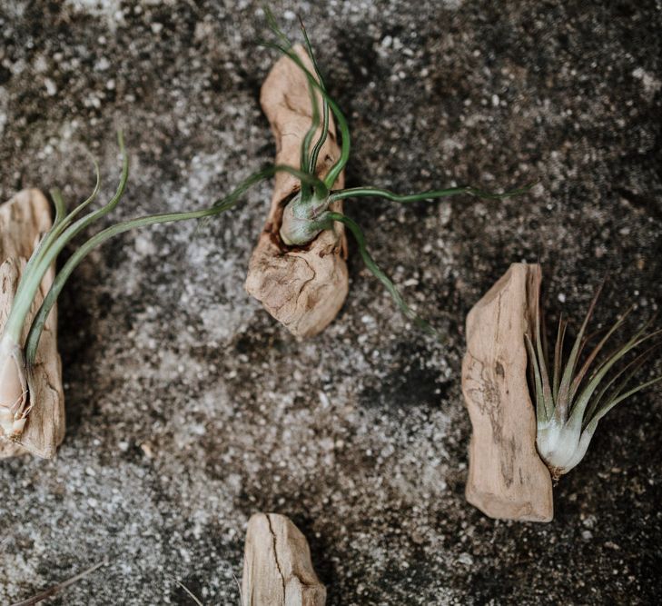 Driftwood & Succulents Buttonholes | | Natural Wedding at Northbrook Park, Surrey | Green Antlers Photography | Gione Da Silva Film