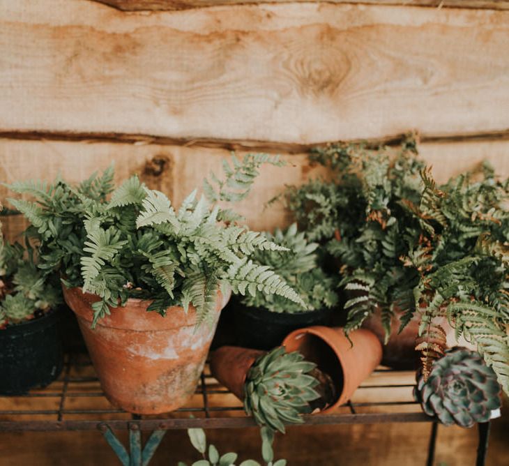 Greenery Plant Pot Wedding Decor | Outdoor Woodland Wedding at The Dreys in Kent | Fern Edwards Photography