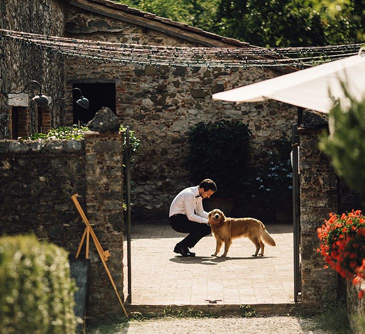 Groom & Pet Golden Retriever