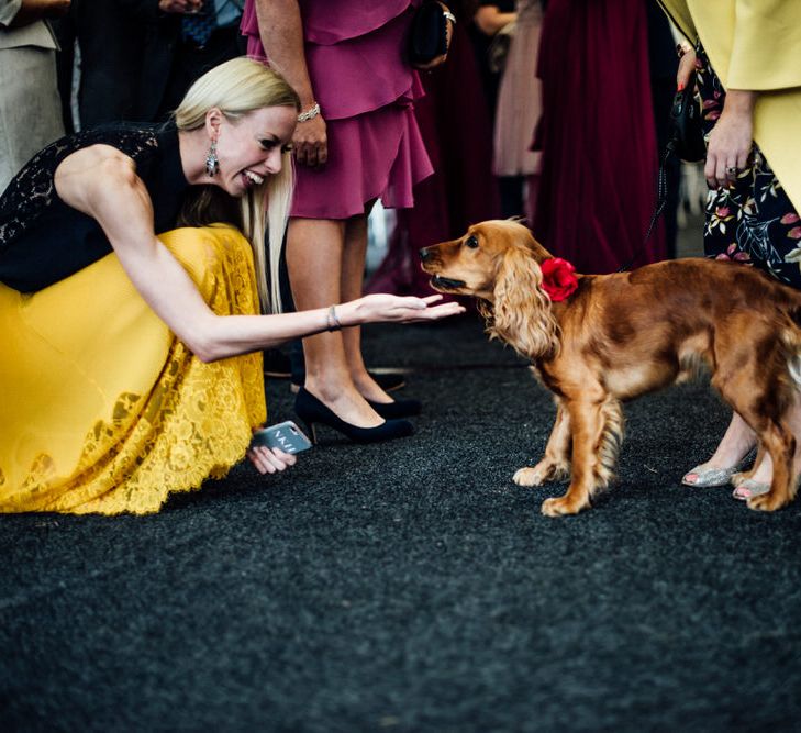 Raspberry, Gold & Navy Colour Palette Marquee Wedding With Suzanne Neville Bride & Bridesmaids In Raspberry Multiway Dresses Images From Michelle Wood