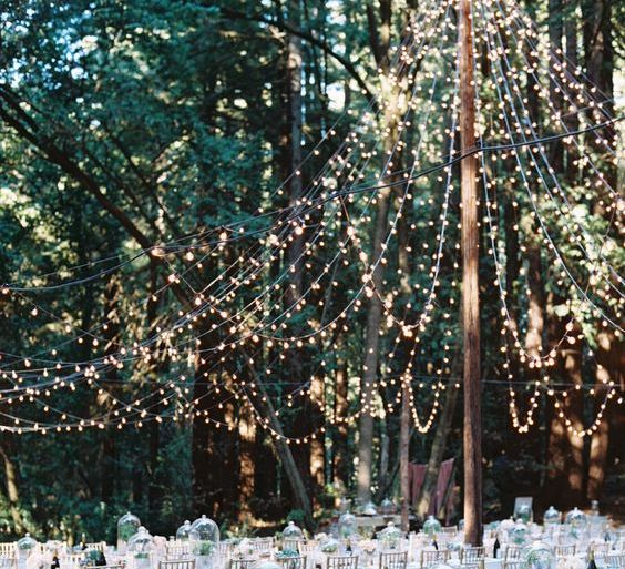 Fairy Lights For Outdoor Wedding Reception