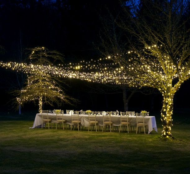 Fairy Lights For Outdoor Wedding Reception