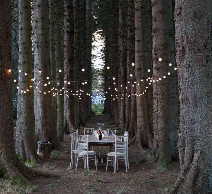 Festoon Lights For Outdoor Wedding Reception