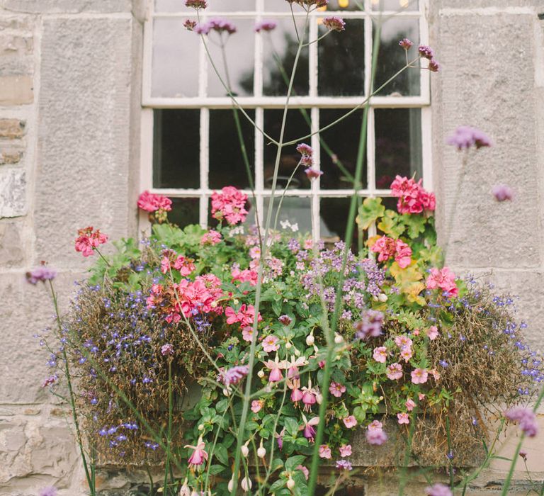 Floral Window Box