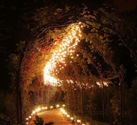 Image via <a href="https://happywedd.com/decor/75-romantic-wedding-lights-ideas.html" target="_blank">Happy Wed</a>