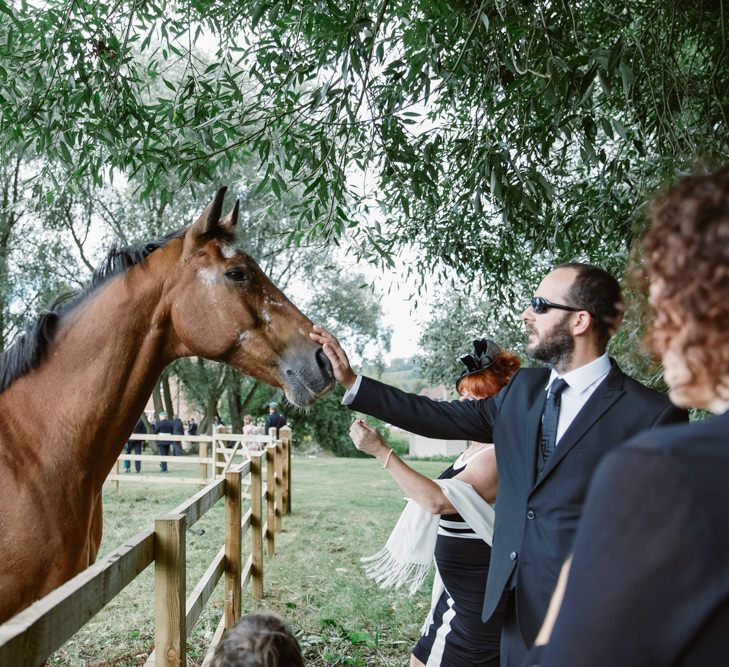 Horse | Natalie J Weddings Photography