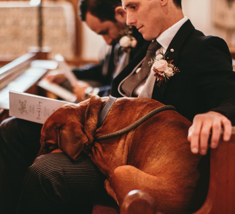 Dog At Wedding