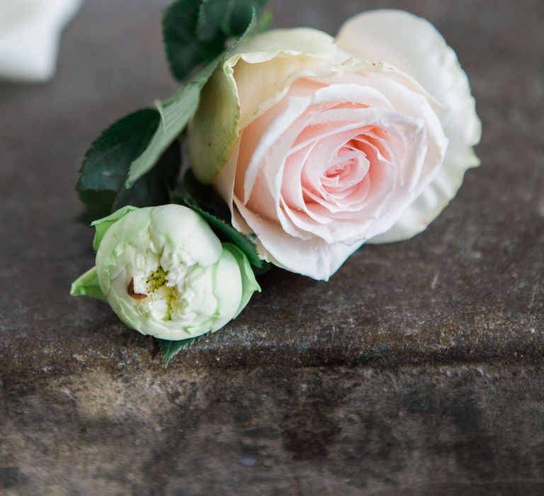 Delicate Pink Rose Buttonhole | Elegant Blush Pink & White Wedding at Aynhoe Park in Oxfordshire | Lucy Davenport Photography