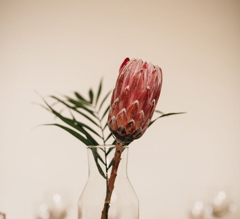 Single Stem Protea Flower Wedding Decor