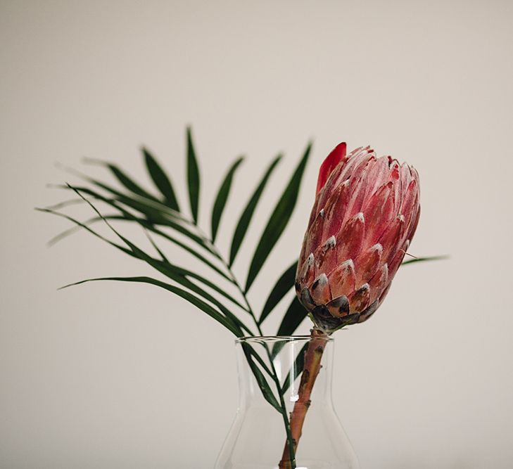 Single Stem Protea Flower Wedding Decor