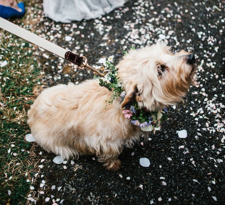 Rime Arodaky Bride For A Rustic Wild Flower Filled Wedding at Anran Devon With Mismatched Bridesmaids Dresses & Images From A Thing Like That Photography