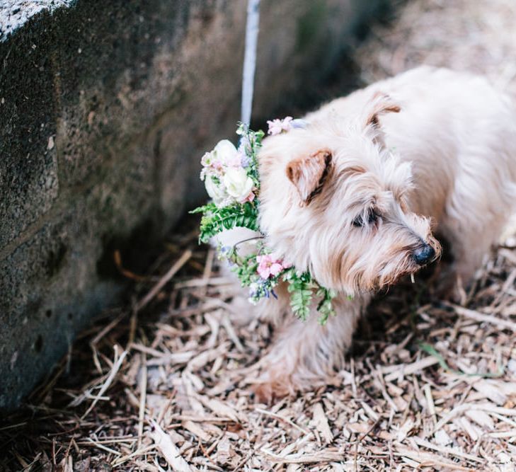 Rime Arodaky Bride For A Rustic Wild Flower Filled Wedding at Anran Devon With Mismatched Bridesmaids Dresses & Images From A Thing Like That Photography