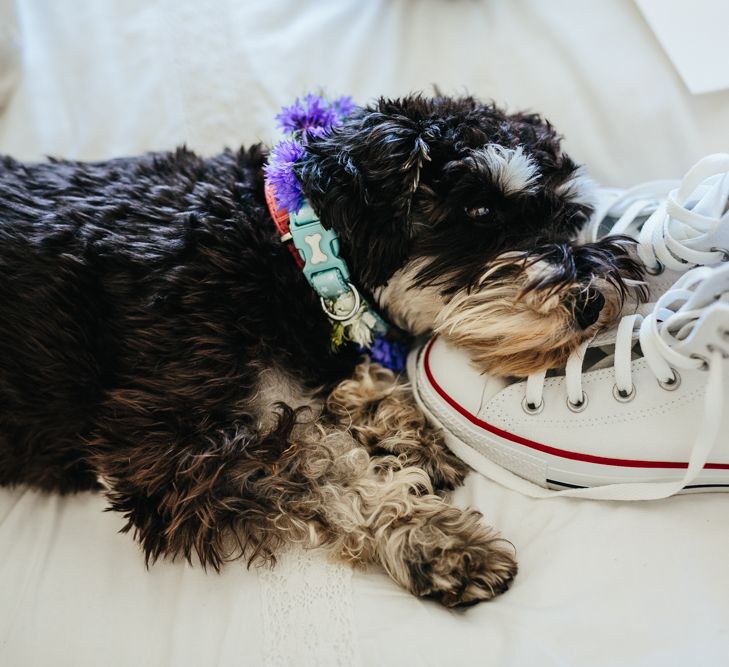 Personalised Wedding Converse