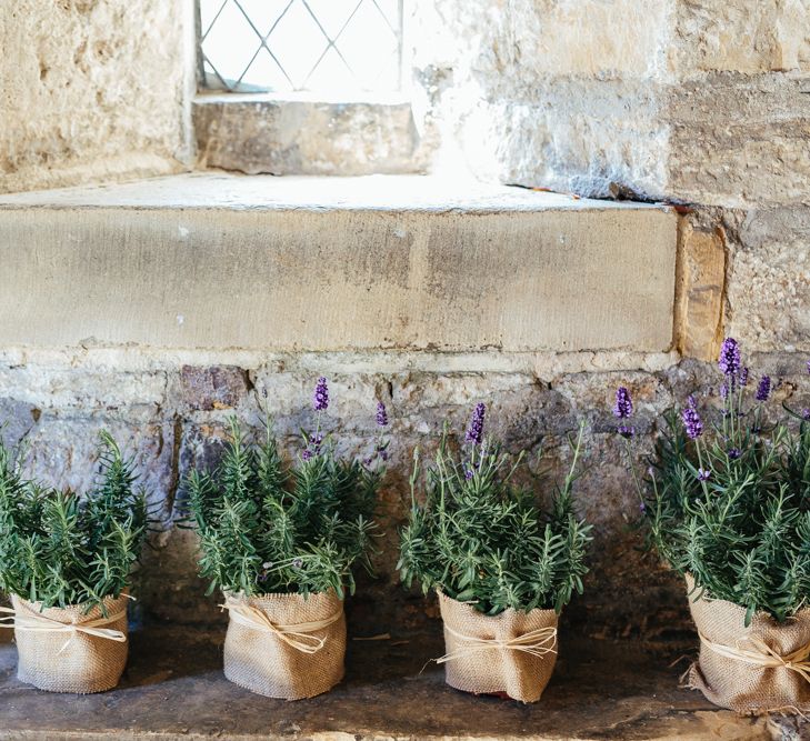 Pots Of Lavender For Wedding Decor