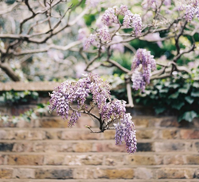 Wisteria | Classic Wedding at Trafalgar Tavern, Greenwich, London | Ann-Kathrin Koch Photography