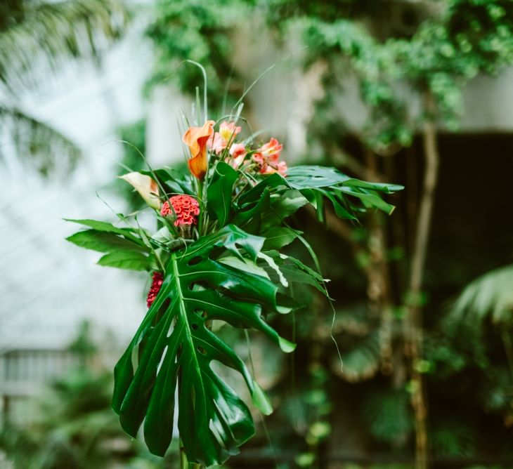 Tropical Flowers & Foliage