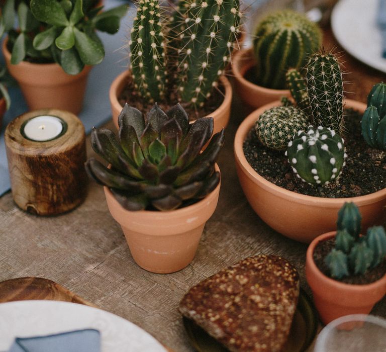 Rustic Tablescape For Wedding With Terracotta & Cactii Plants