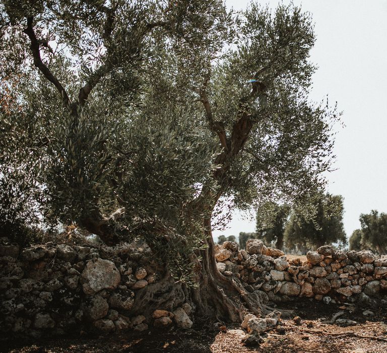 Romantic And Elegant Destination Wedding In Puglia Italy With Outdoor Ceremony And Reception With Bride In Hermione De Paula And Images From James Frost