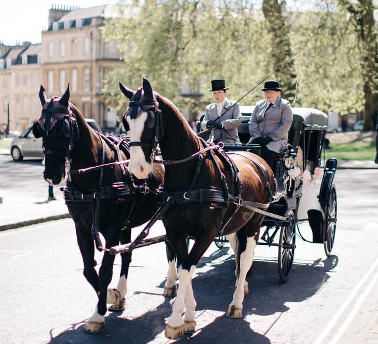 Horse and Carriage | M and J Photography