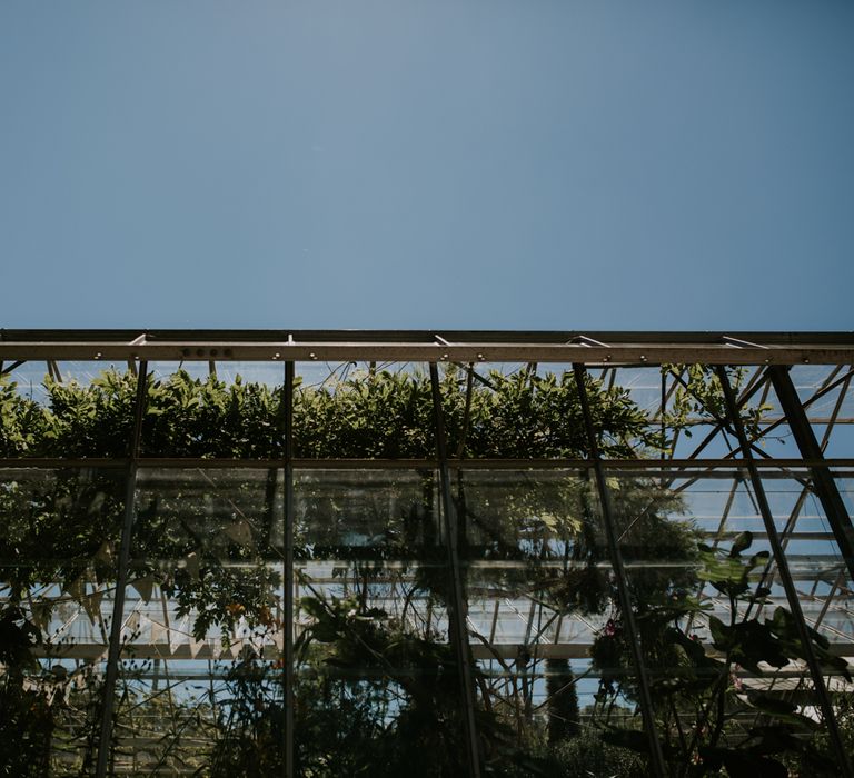 Rustic Wedding Reception In A Greenhouse