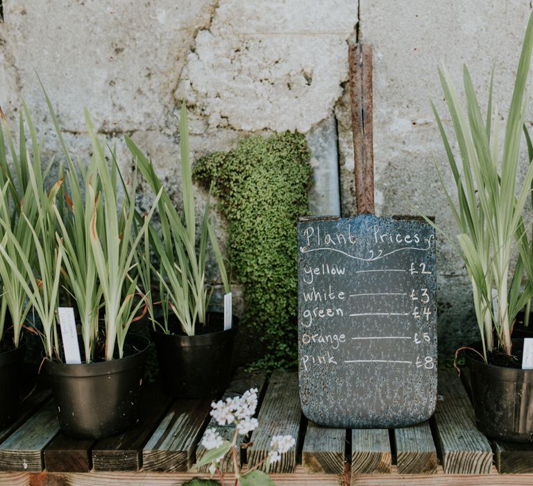 Rustic Wedding Reception In A Greenhouse