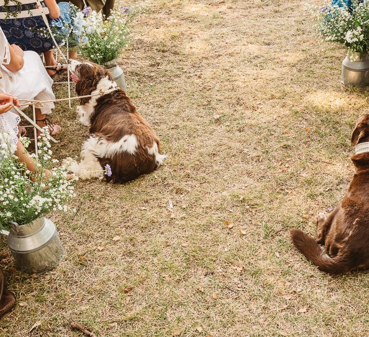 Dogs at weddings. Photography by Derek Smietana