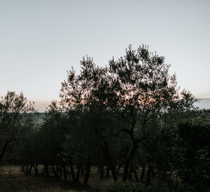 Fairy Light Canopy Wedding In Tuscany Italy Styled By Italian Eye And Photographed By Damien Milan Photography With Bride In Hayley Paige