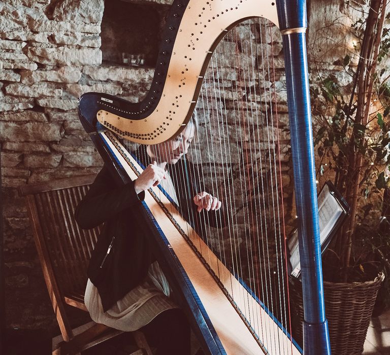 Harpist At Wedding