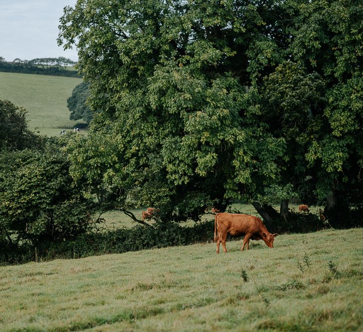 Nancarrow Farm Cornwall Wedding