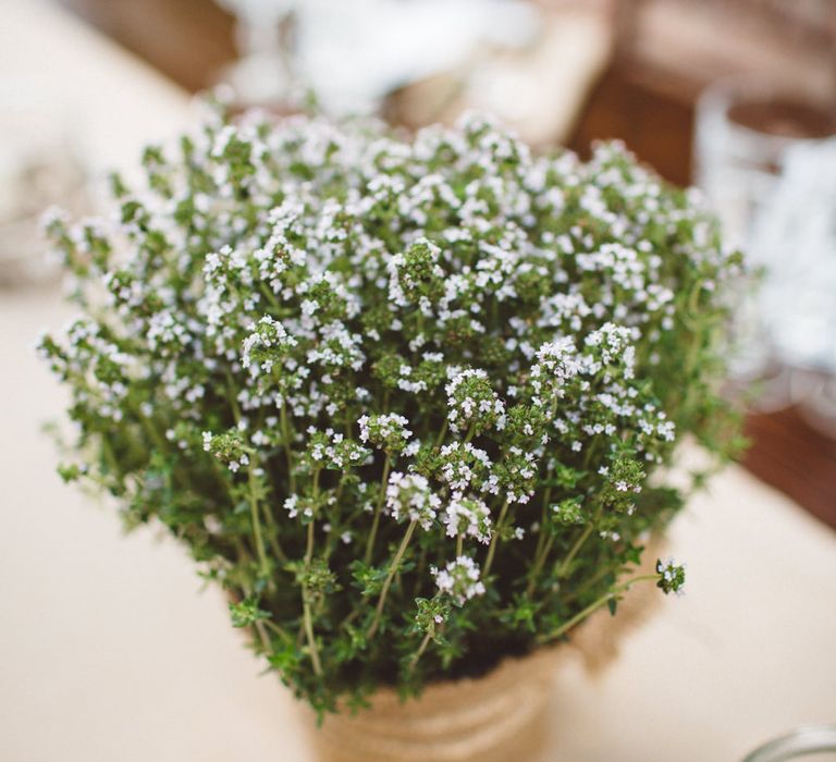 Plant Pot Wedding Decor | Outdoor Wedding at Borgo Bastia Creti in Italy | Paolo Ceritano Photography