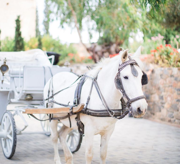 Horse & Carriage | Intimate Outdoor Destination Wedding at Kinsterna Hotel & Spa in Greece | Cecelina Photography