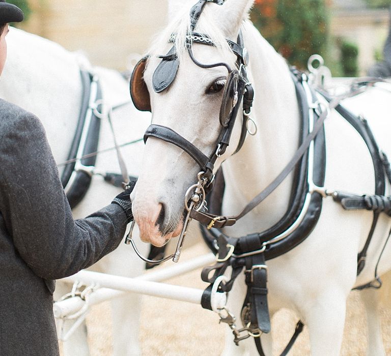 Traditional Horse and Carriage | Jacob & Pauline Photography | Pretty in White Films