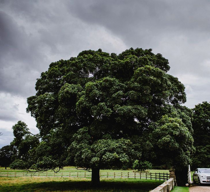 Elegant White Wedding At Iscoyd Park With Bride In Pronovias & Blossom Tree Installation Marquee With Images From Steve Gerrard Photography