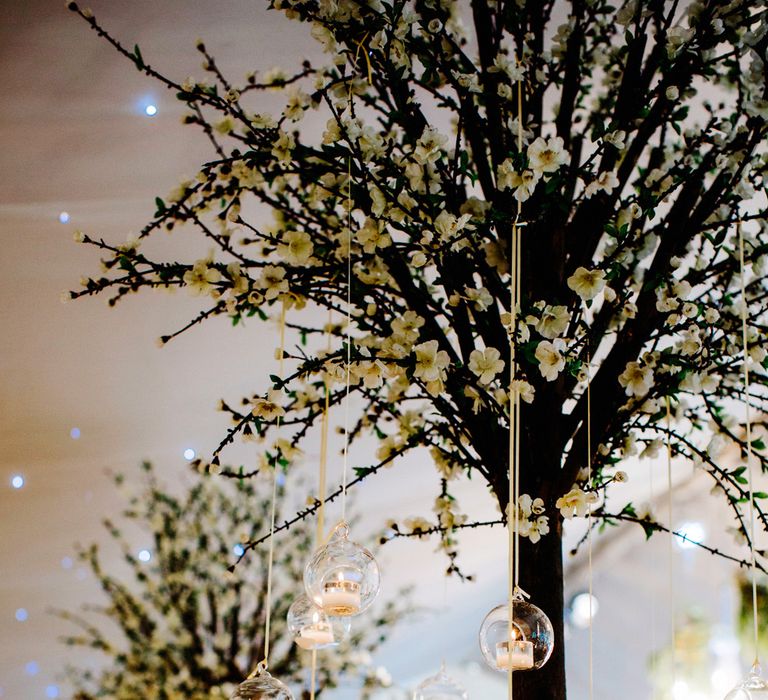 Elegant White Wedding At Iscoyd Park With Bride In Pronovias & Blossom Tree Installation Marquee With Images From Steve Gerrard Photography