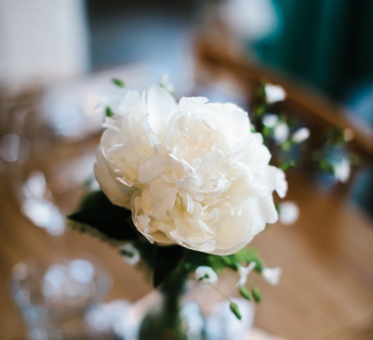 White Flower Stems in Vases